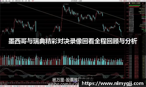 墨西哥与瑞典精彩对决录像回看全程回顾与分析
